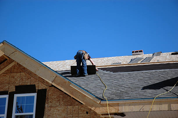 Best Roof Gutter Cleaning  in Lake Dunlap, TX